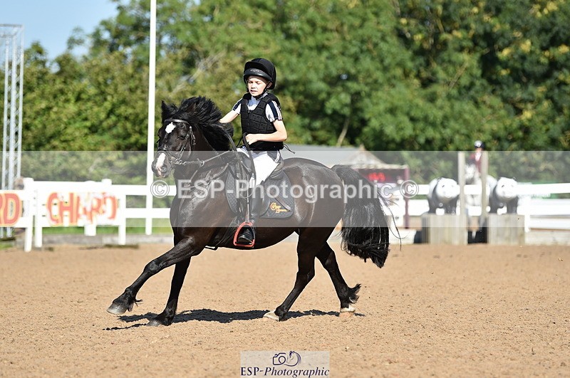 230903A-102746-03973 - Cls 18 Pony Brit Novice & 80cm Open