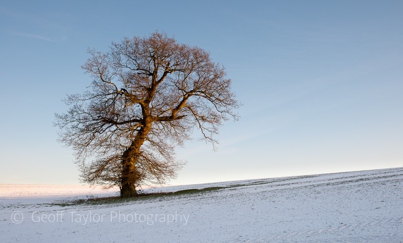 Above Easthope - Wenlock Edge