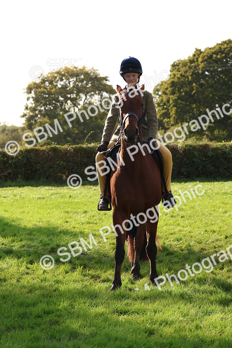 SBM_52627 - S13 - Pony Club Pony