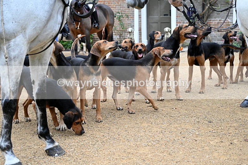 WJ7_6256 - Berks & Bucks - Children's Meet - The Old Farmhouse – Steventon.