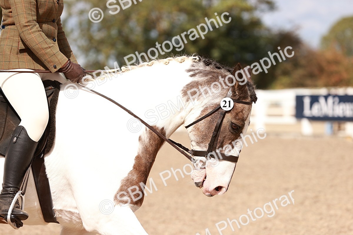 SBM_14375 - Class 409 - Grassroots Ridden - Pony