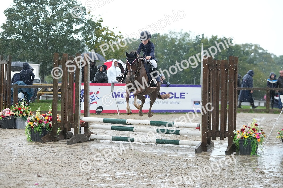 SBM_36229 - J5 - Junior Pony 50cm Championship