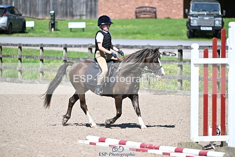 240729B-113654-02451 - Showjumping Competition