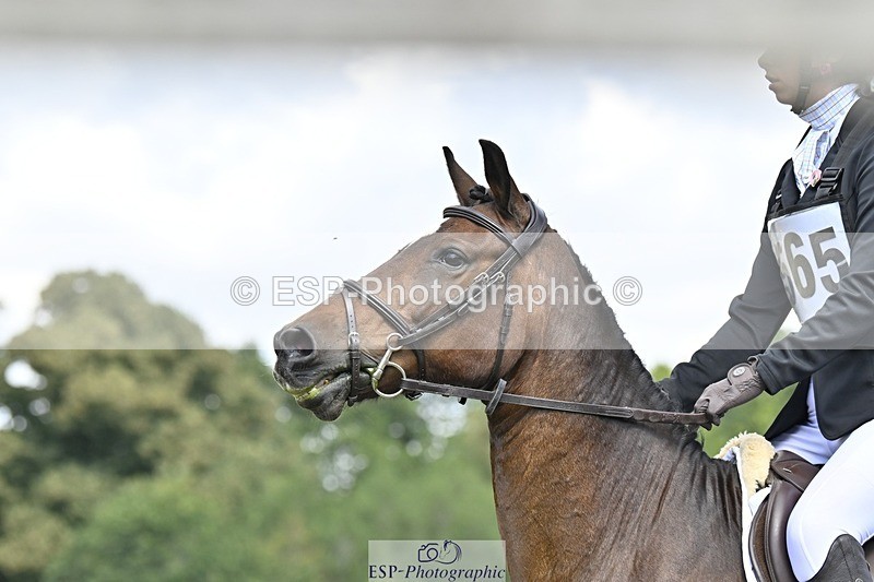 250822A-120342-22538 - DR 11.00 to 12.00