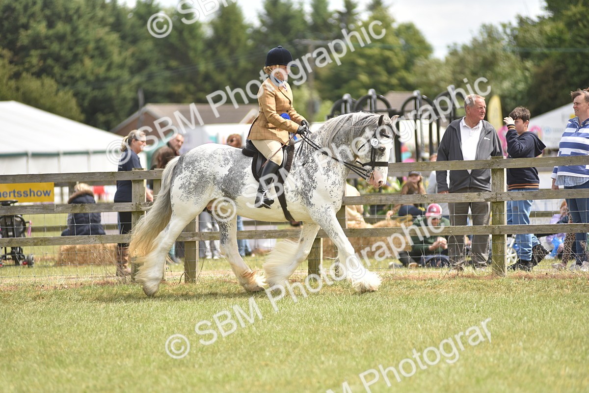 SBM_15995 - Class 117-122 - SSADL RIHS Qualifier