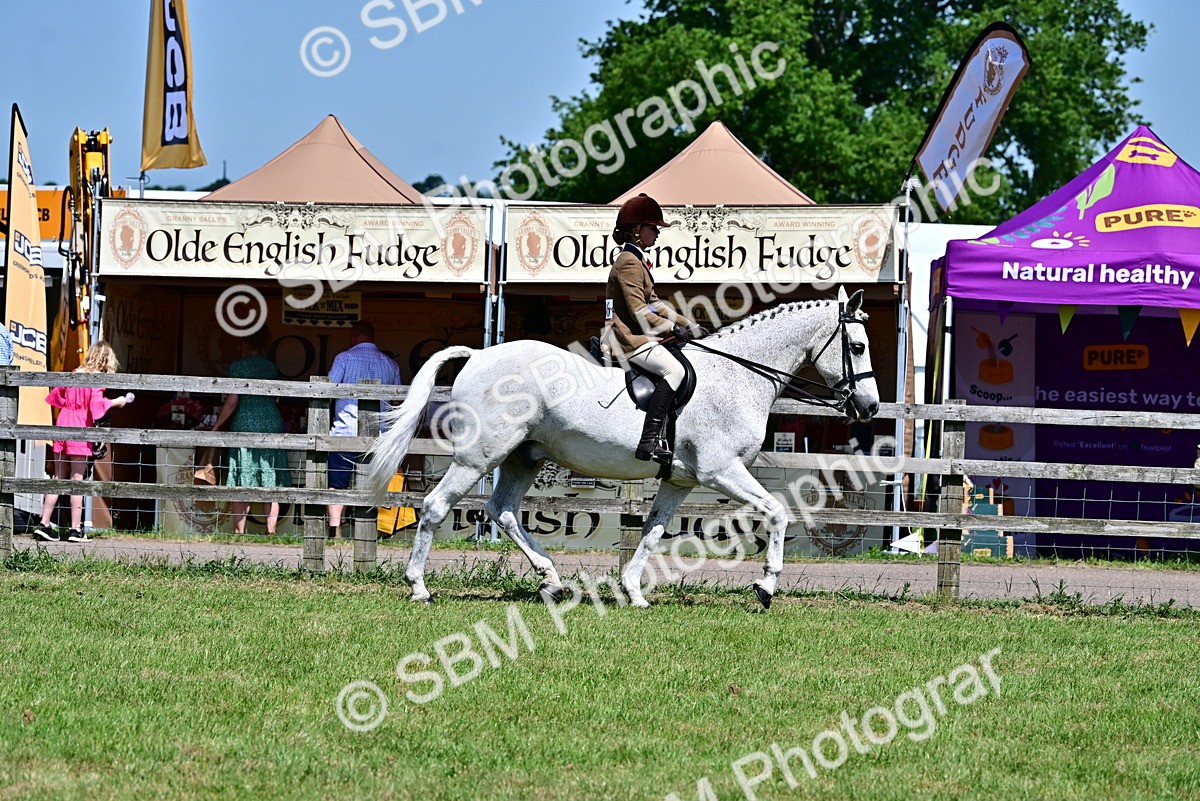 SBM_17541 - Class 95-97 - BSPS LHS Performance Ponies