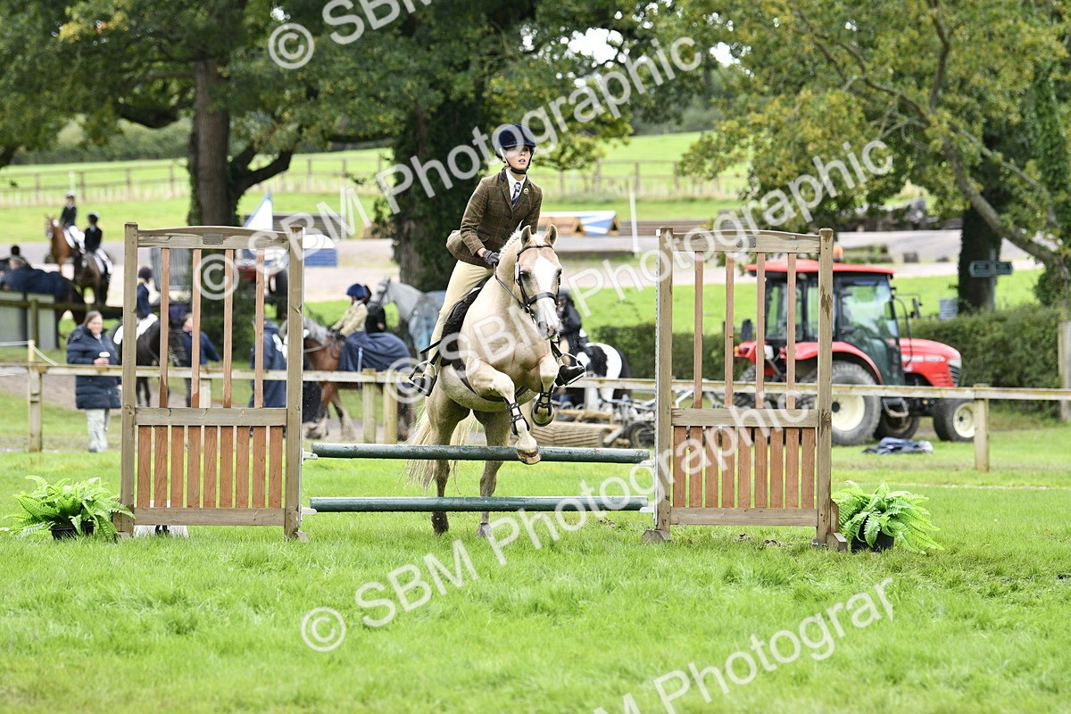 SBM_45593 - S33 - Working Hunter Pony