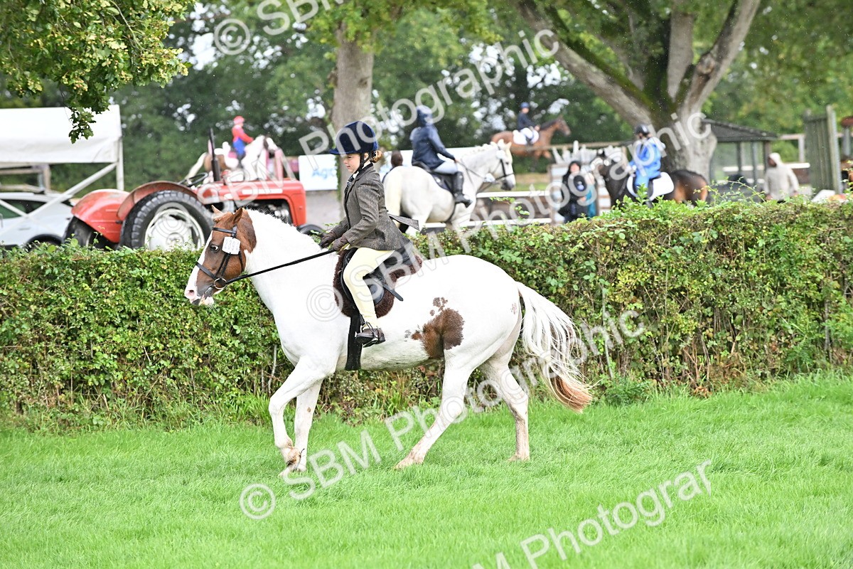 SBM_43046 - S12 - Family Horse & Pony