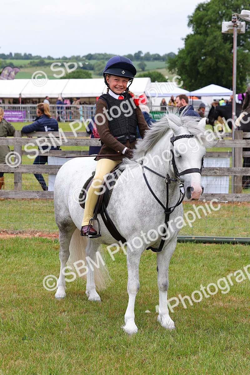 SBM_08790 - Class 42-43 - LIHS BSPS Heritage Working Sports Pony