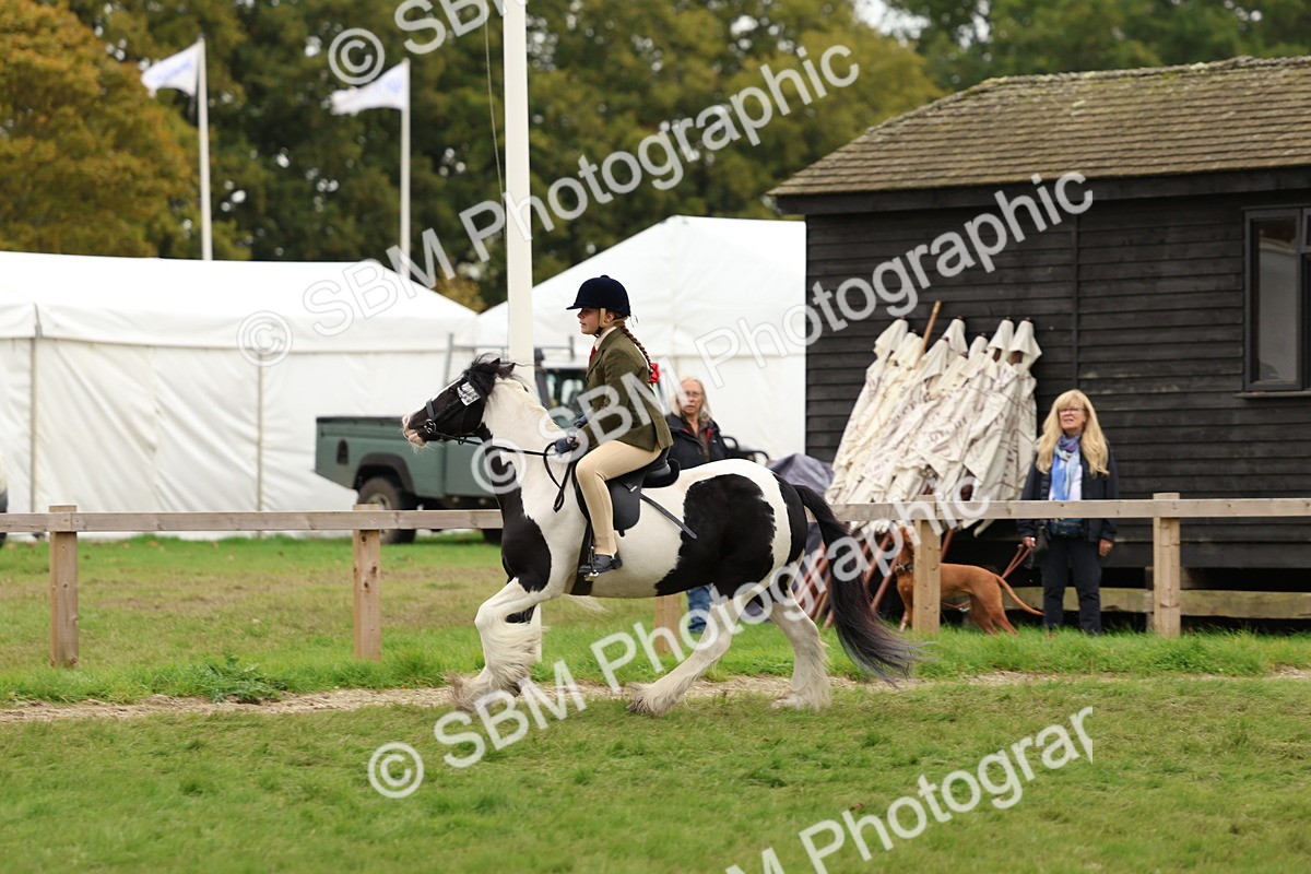 SBM_64513 - S58 - Coloured Pony Ridden