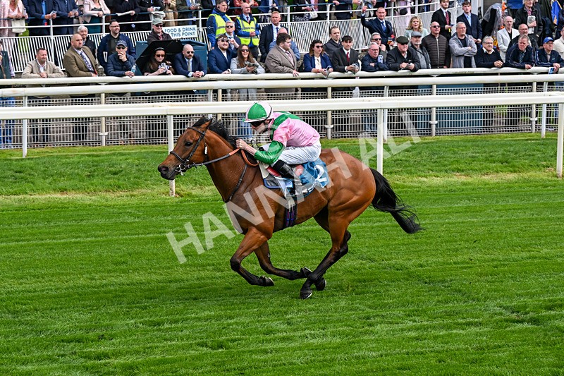 140526-Race 2-Jakajaro-0093 - Race 2 2.20pm Lindum York Handicap