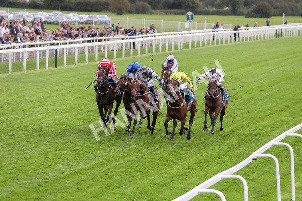 230923-Race 3-Politico-5284 - Race 3 3.10pm Happy 60th Birthday Angela Clark Nursery Handicap