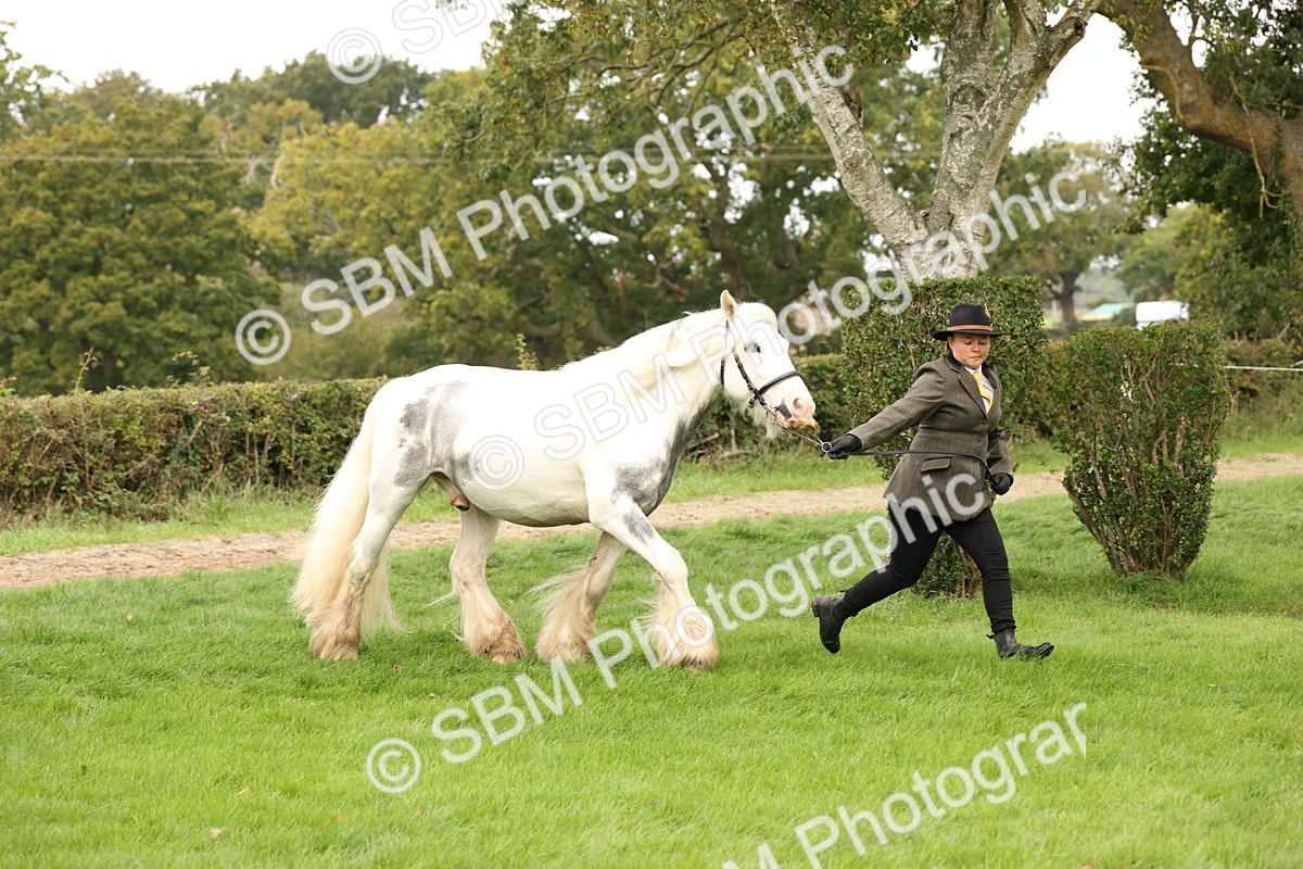 SBM_59261 - S57 - Traditional Cob In Hand
