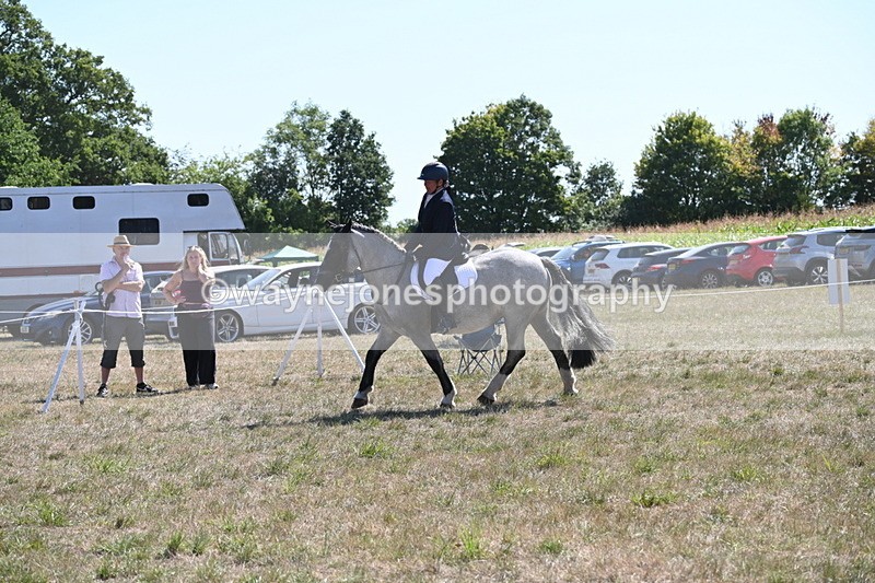 WJ6_8887 - Class 38 Ridden Riding Horse/Pony