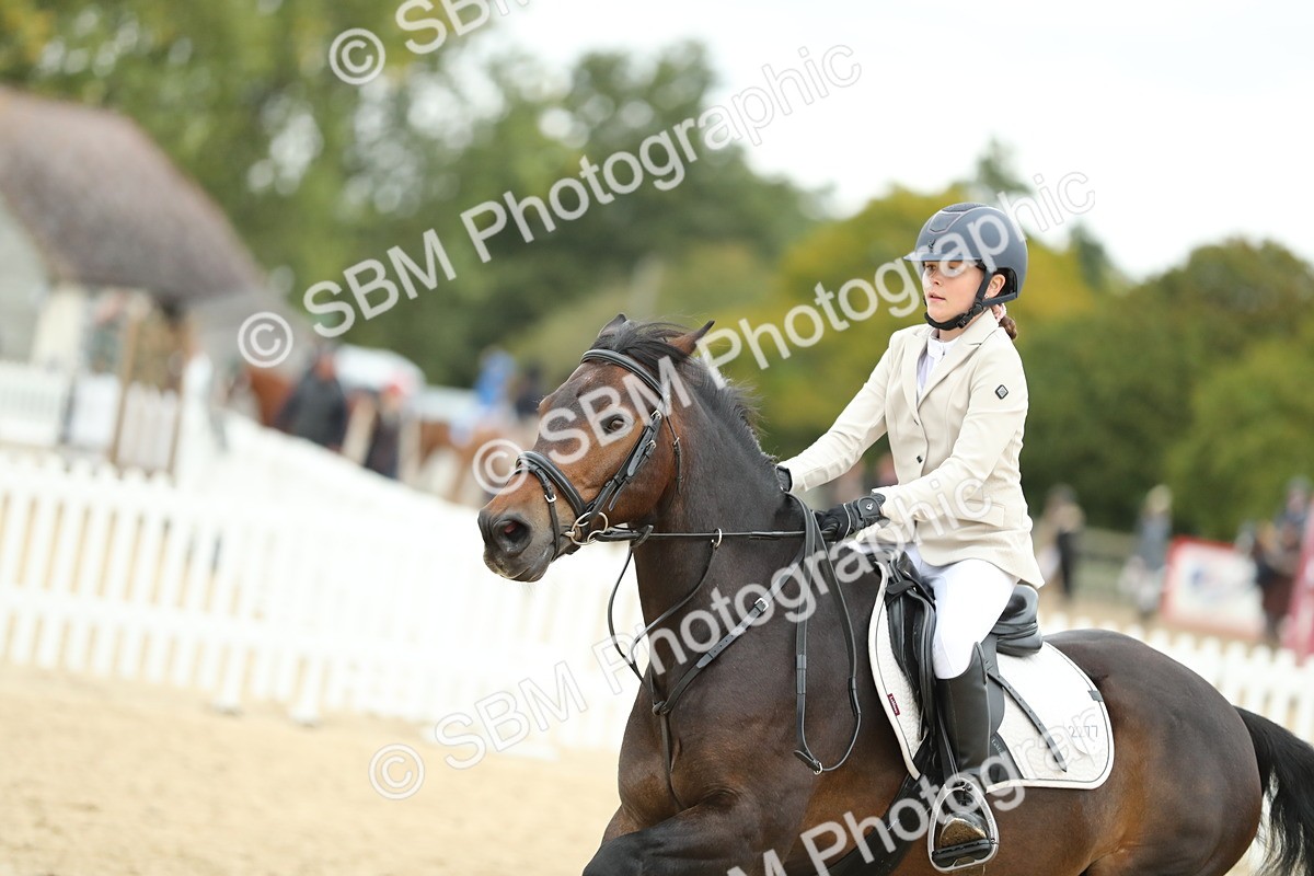 SBM_67910 - J15 - Junior Pony 70cm Championship
