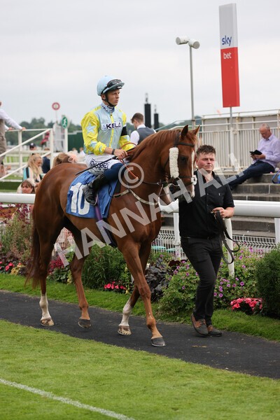 yr24072021r7-35 - Race 7 5.35pm The Sporting Life Fast Results Stakes