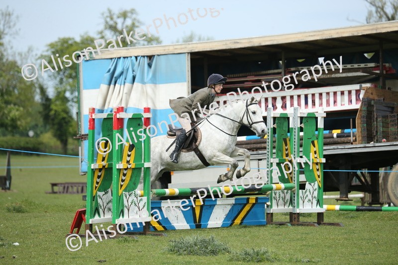 20260426-1981 - Class 15 - Absolute Novice 70cm