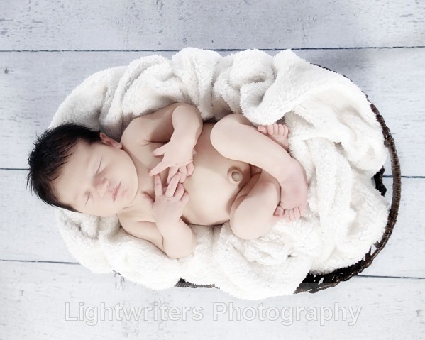  - Baby Harper