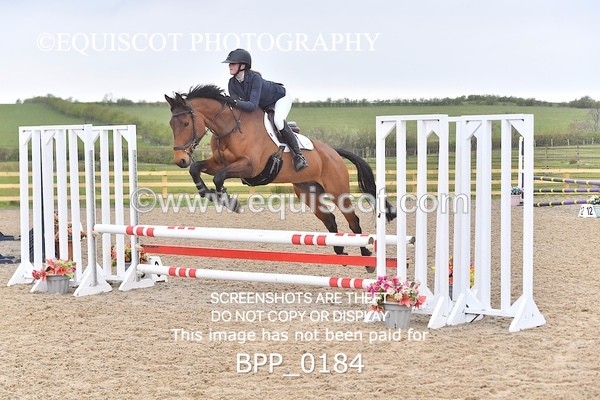 BPP_0184 - CLASS 1 FRI Club/ Unaffiliated 80cms Open