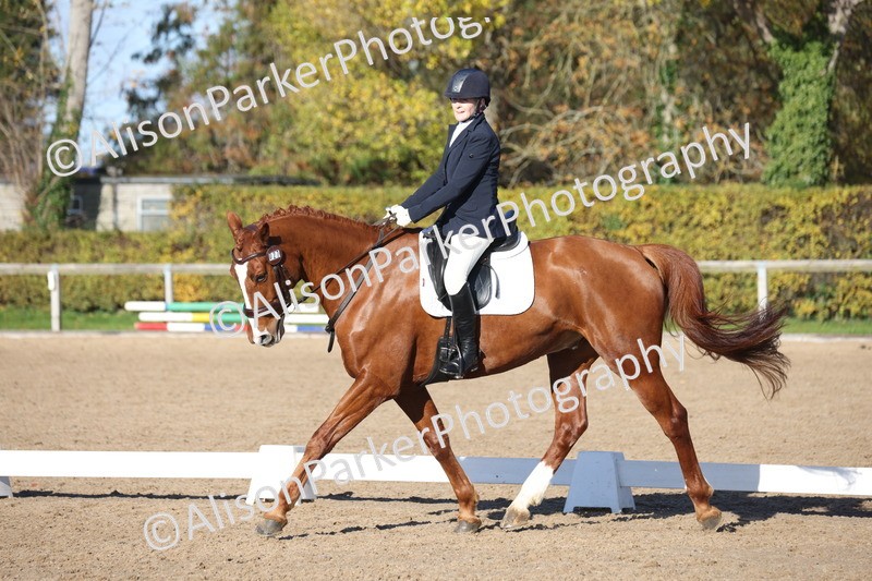 20251102-0522 - Class 3 - Novice 5