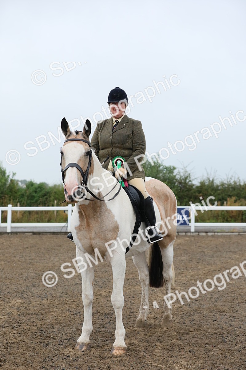 SBM_20387 - Class 803 - Ridden Combination 65+