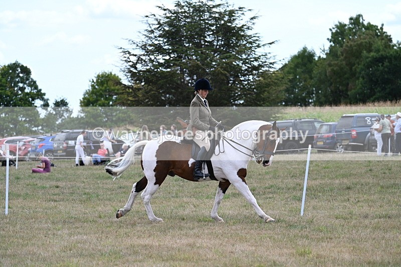 WJ7_5212 - Class 12 Ridden Cob
