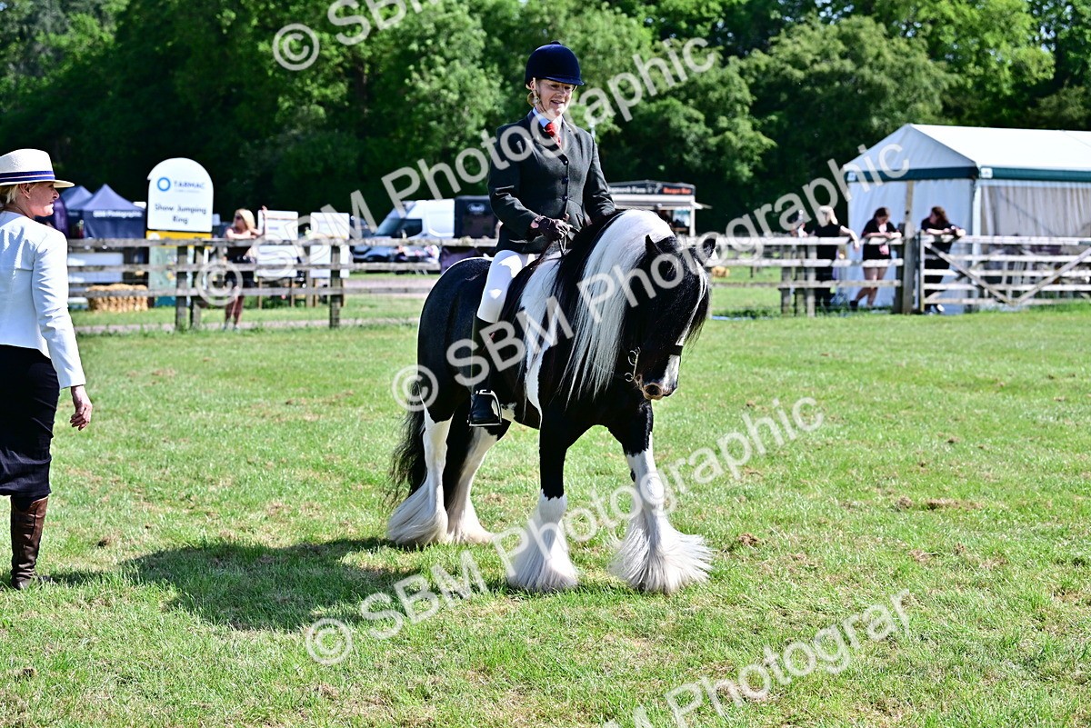 SBM_09340 - Class 63-65 - Traditional Gypsy Cobs In Hand & Ridden