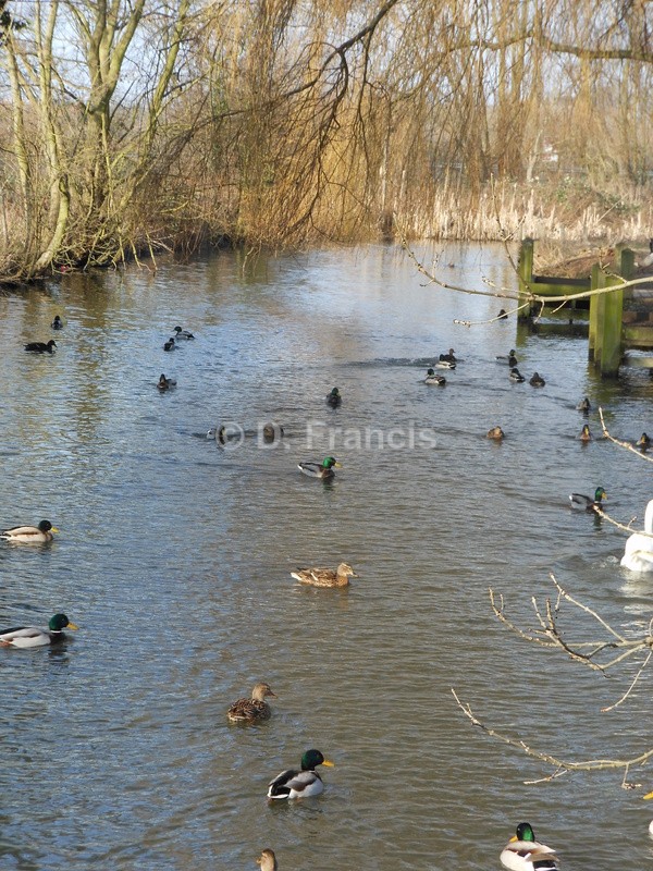 Waltham Abbey - Landscapesque