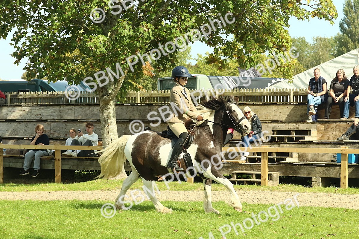 SBM_67523 - S56 - Coloured Pony Ridden