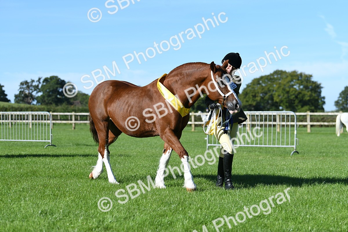 SBM_35629 - Top Turnout Supreme Championship