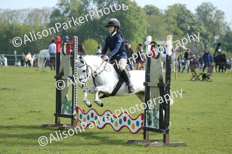 20260426-0106 - Class 13 - Rookie Jumping 50cm