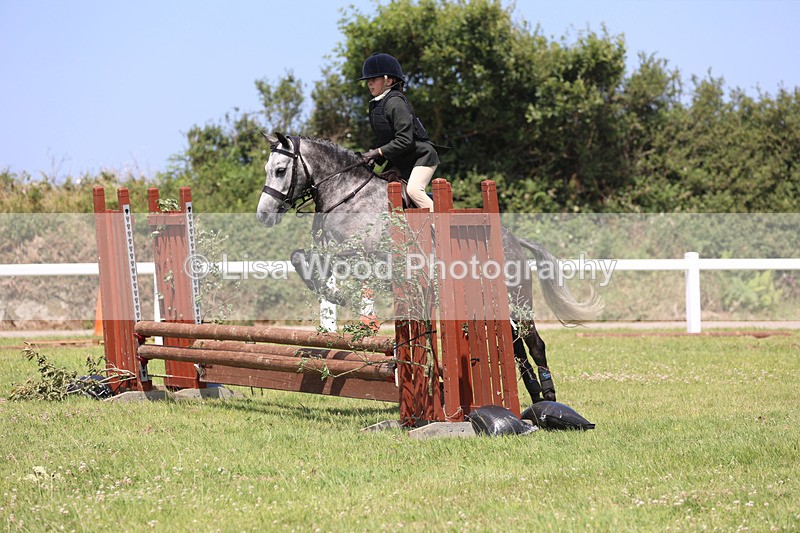 JPP_2614 - Class 21: Working Hunter 60cm