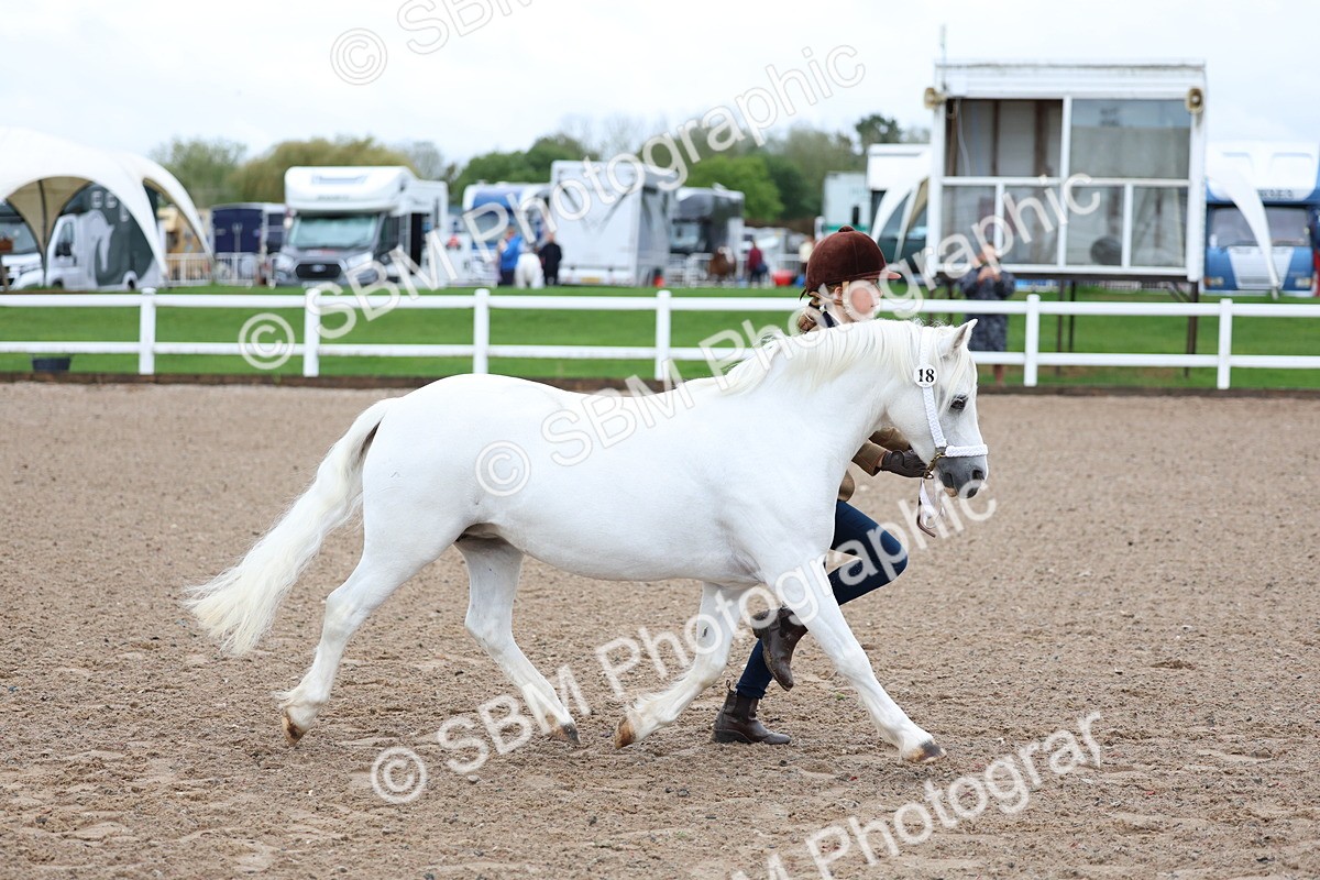 SBM_00249 - Class 13 - Young Handler