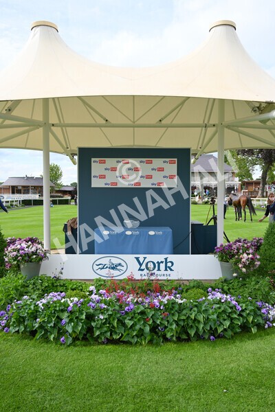 yr11062021r5-32 - Race 5 4.00pm Sky Bet Ganton Stakes