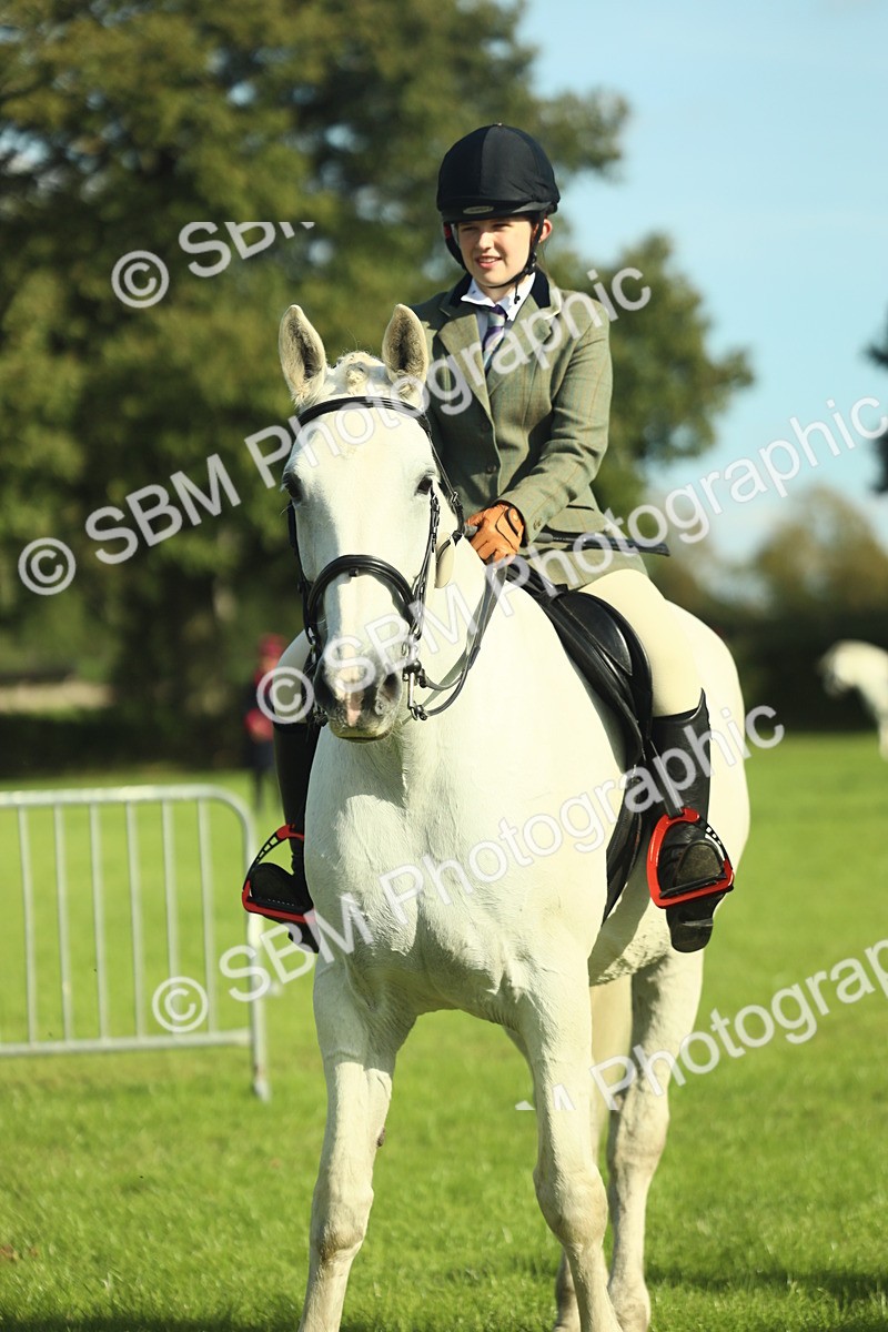 SBM_49825 - S32 - Novice & Newcomers Working Hunter
