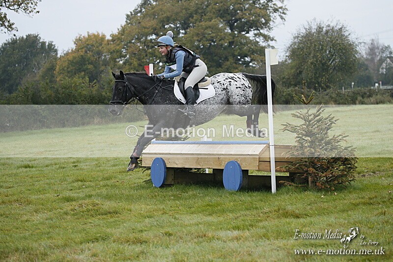 WWHT 181020 WWHT 181020 197 - WWEC Novice Restricted (0.80m) 18/10/20