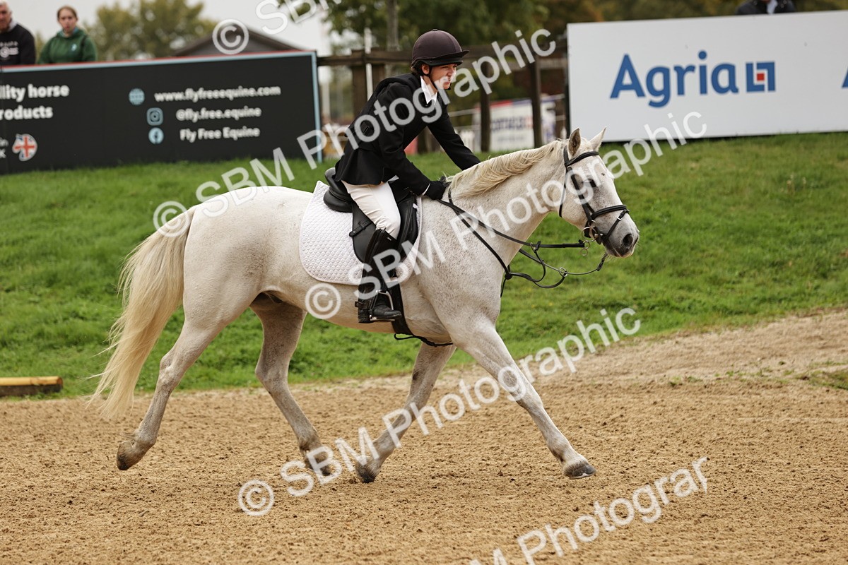 SBM_33042 - J38 - Senior Horse & Pony 80cm Championship