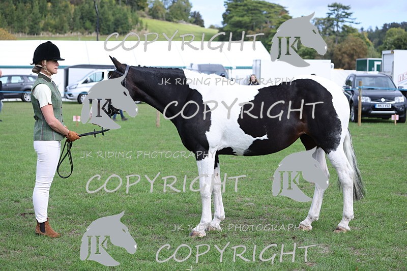 APP_2648 - Class 9 Veterans in hand