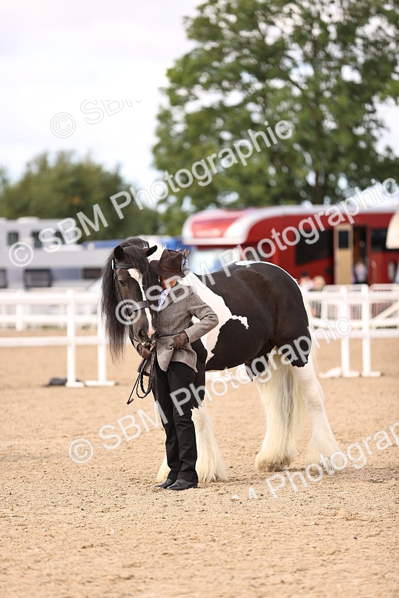 SBM_09309