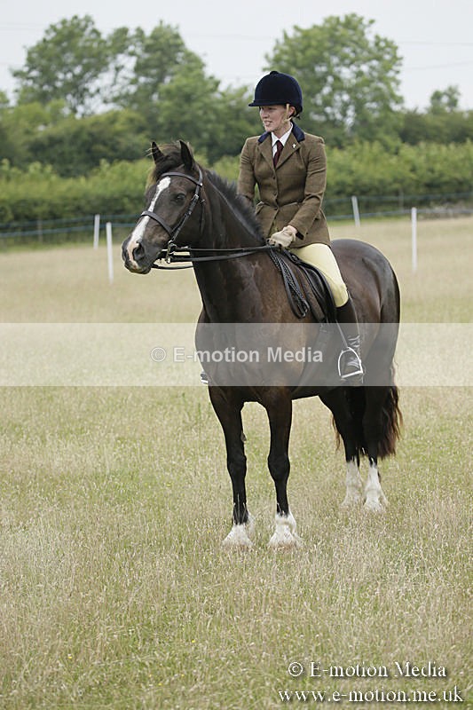 B230619-0089 - Bourne Valley Riding Club Summer Show 23/06/19