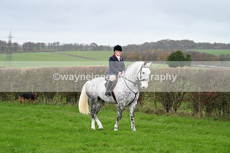 WJ7_8835 - Meet Staff & Hounds