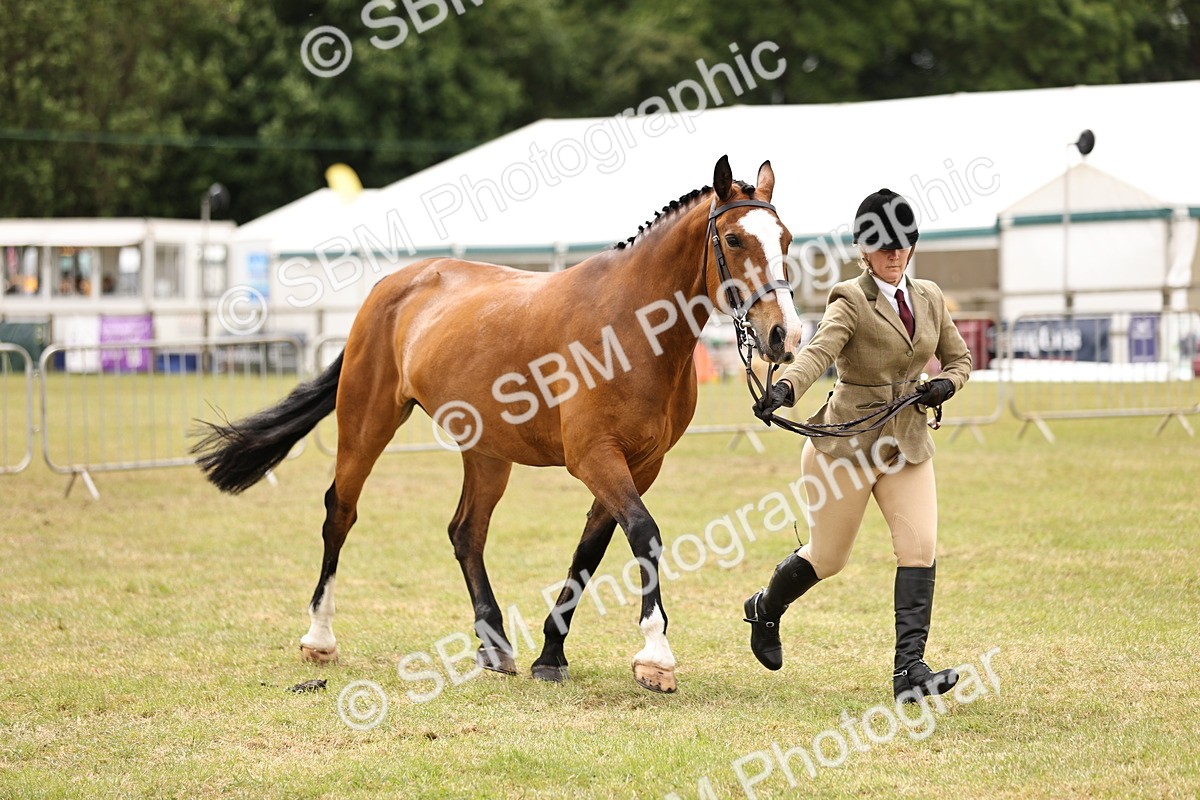 SBM_14606 - Class 88-89 - LIHS BSHA Rising Star of Ridden Hunter Type