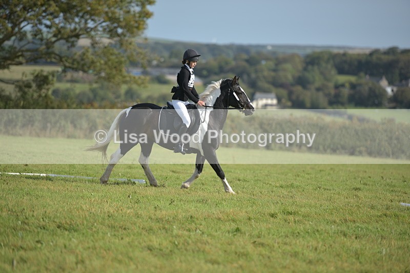 RAY_7613 - Class 2B: Trekenning Open: Dressage