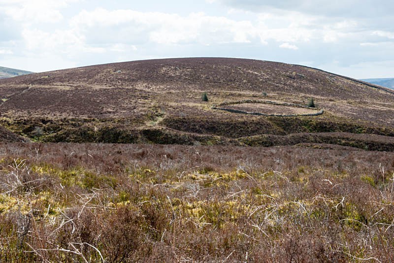 Enclosure and workings - Birch/Vitifer tin mine