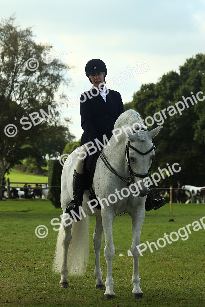 SBM_62435 - S62 - Foreign Breeds Ridden