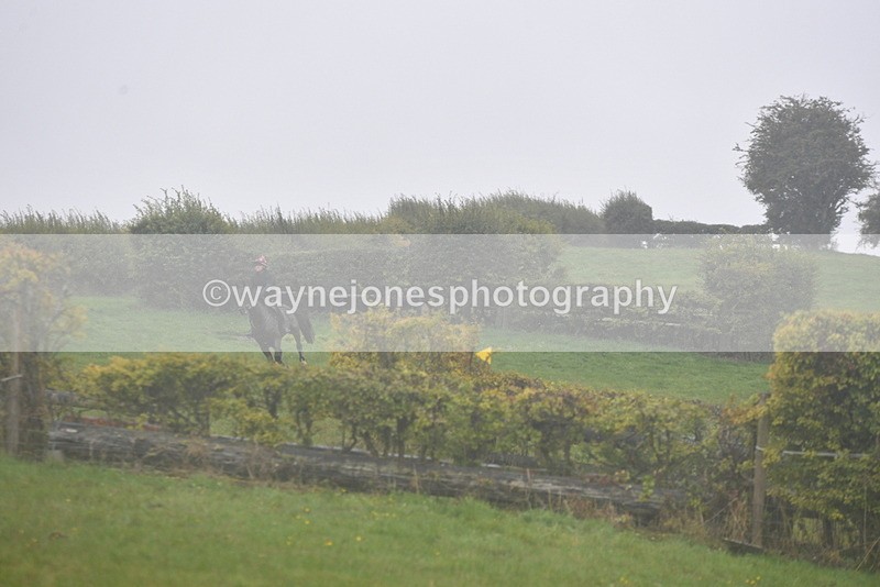 WJ5_7342 - Time 15:26 to 15:42