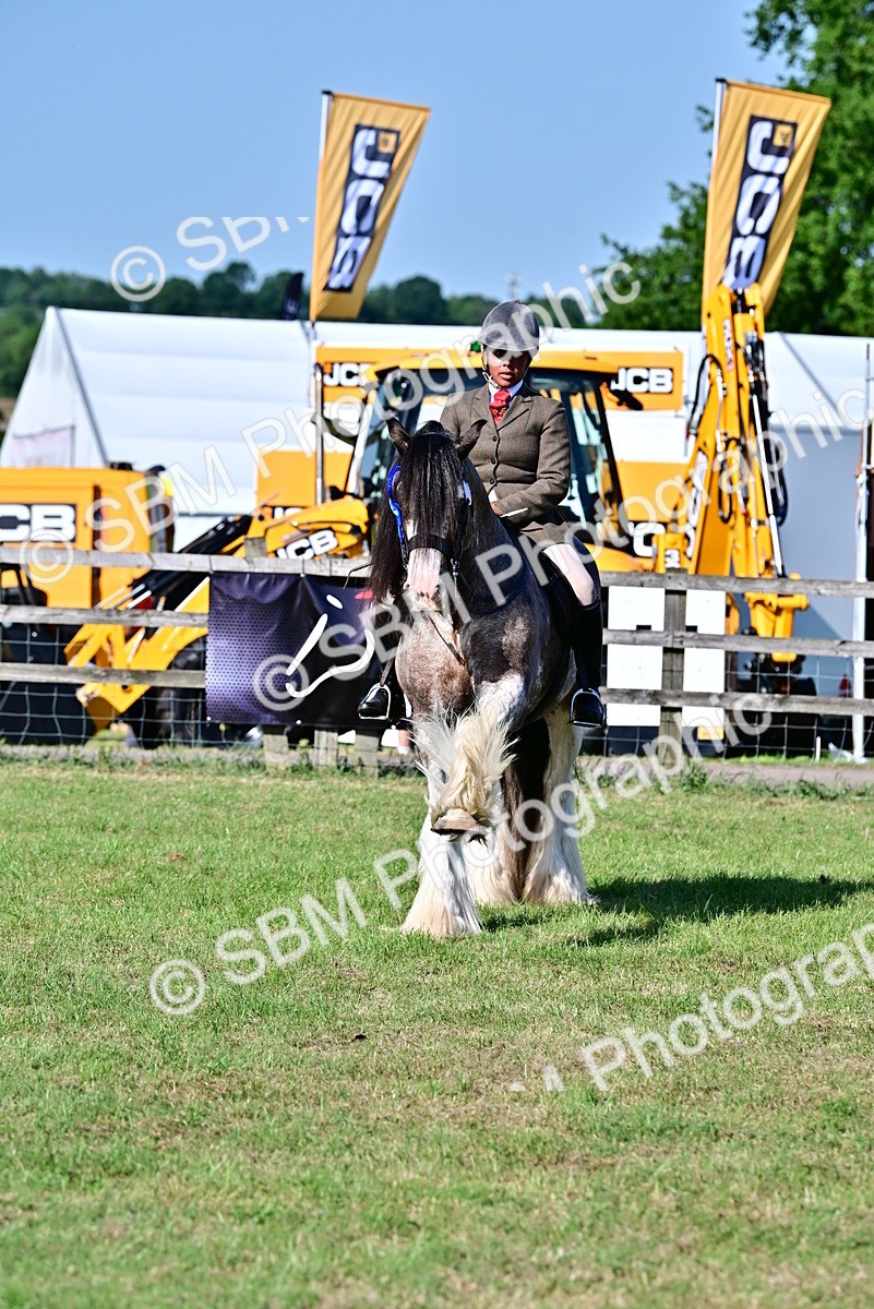 SBM_19571 - Class 101-102 - BSPS LIHS Performance Coloured Horse/Pony