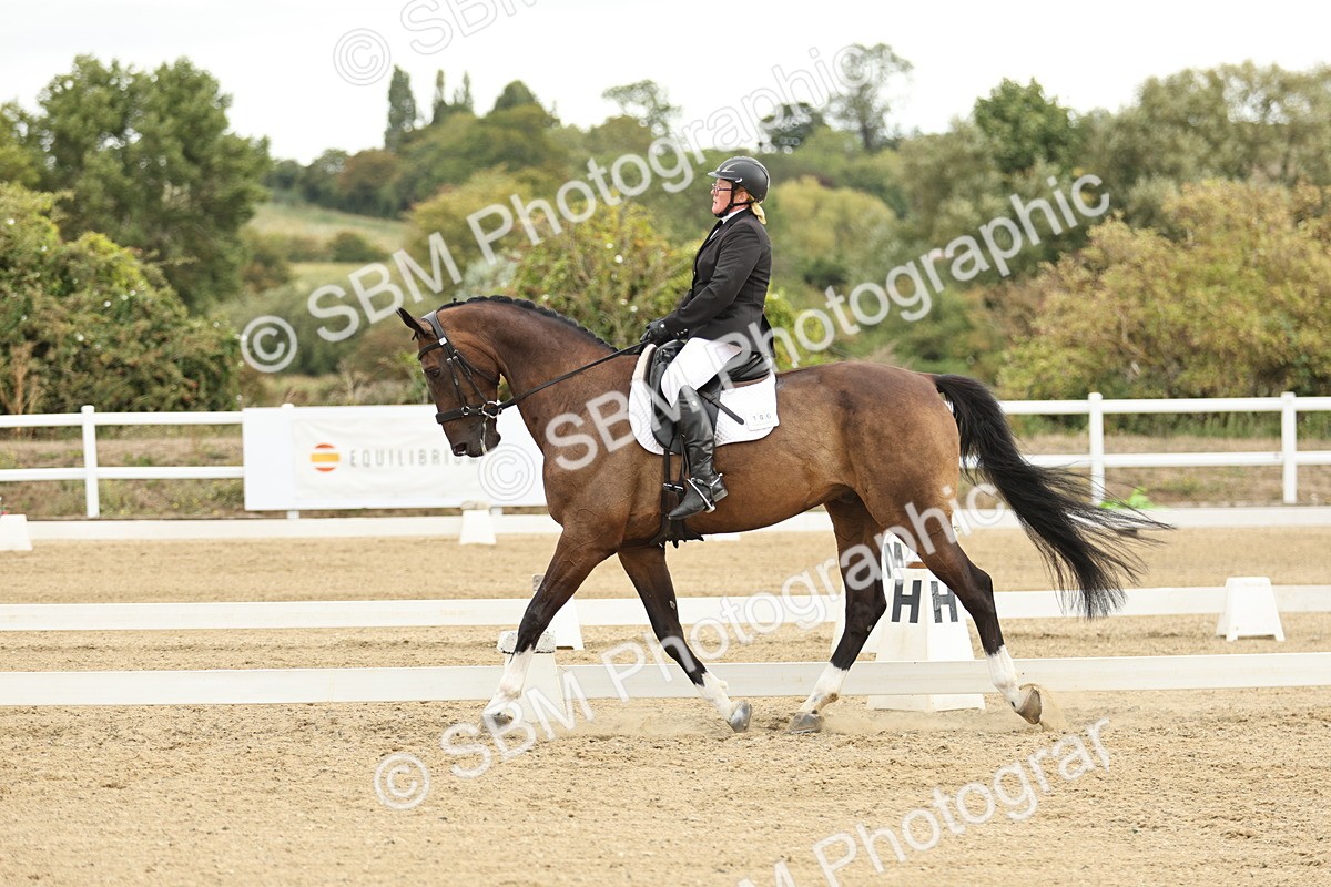 SBM_006948 - Class 21 - Medium 5 Bronze - 10.04-10.52