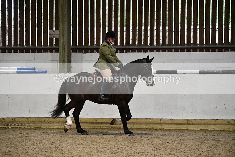 WJ5_8266 - Class 14 Novice Ridden/Rider