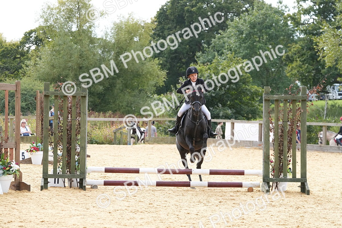 SBM_70566 - J3 - Mini Tour Junior Pony 40cm Championship